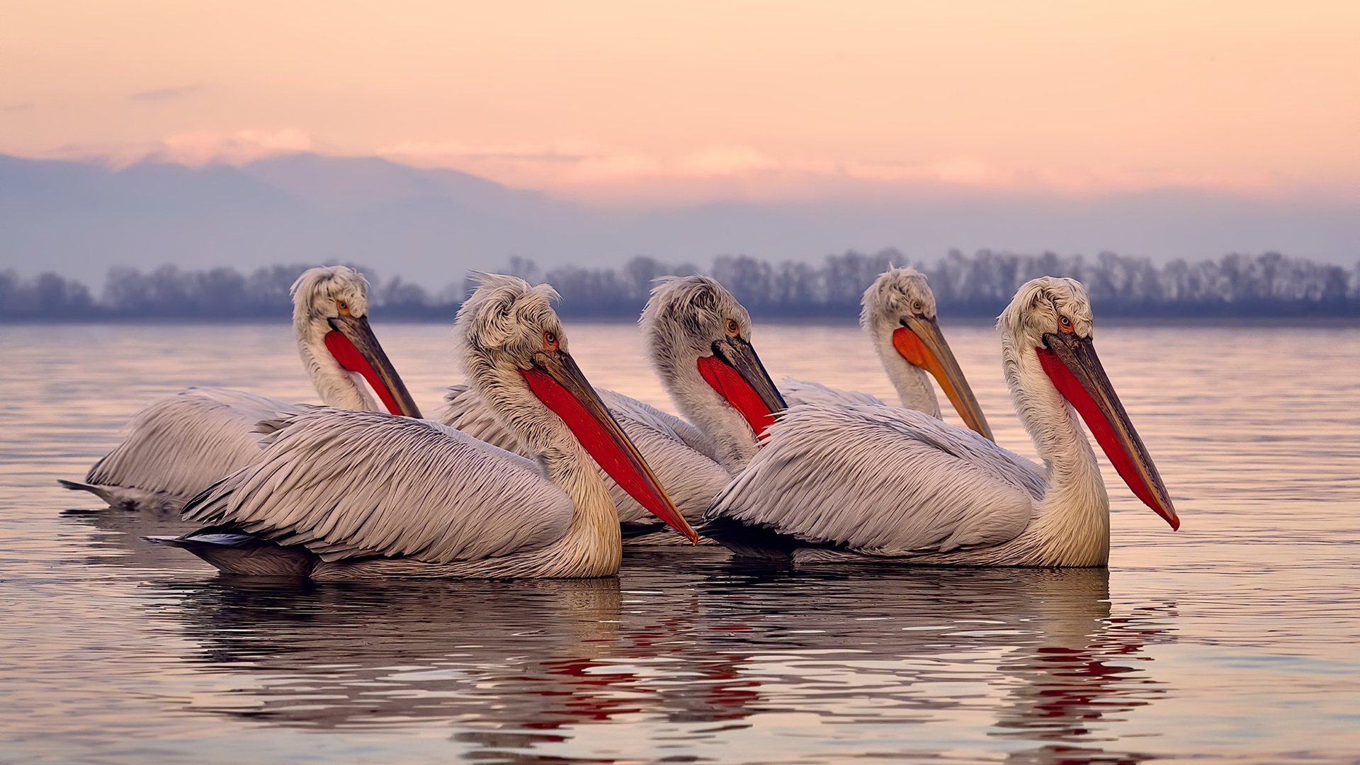 中国男篮体能训练强度升级 备战国际硬仗,中国男篮练兵