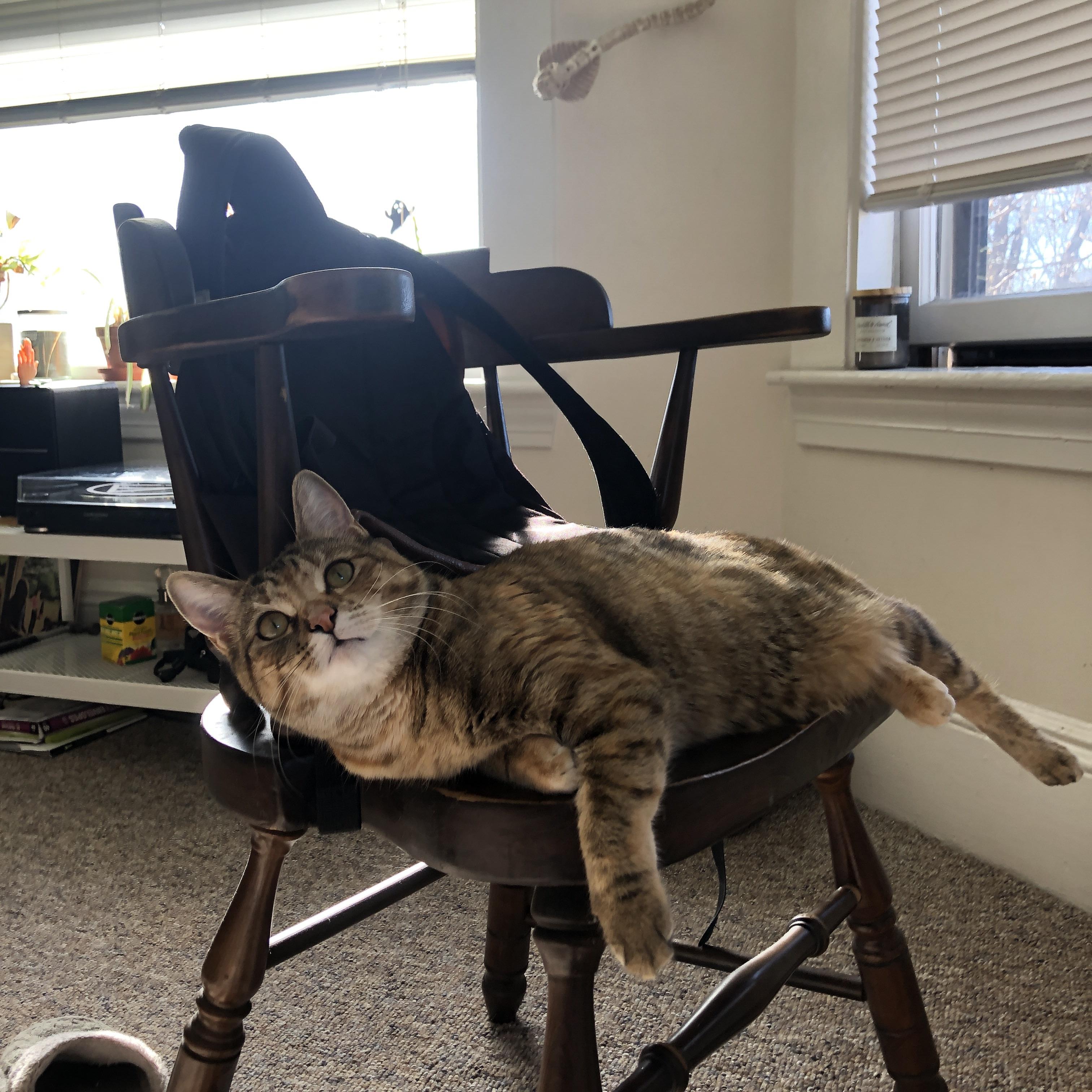 体育新闻中心启动体育内容多渠道品牌传播计划，体育新闻标题大全100条