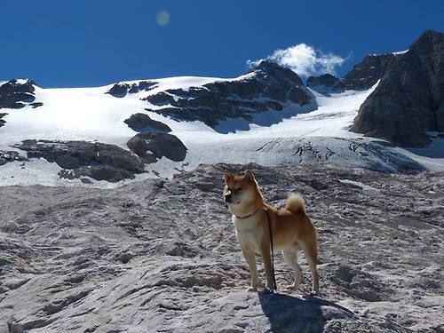 世界杯震撼瞬间:逆转战局的经典演绎,足球世界杯最大逆转